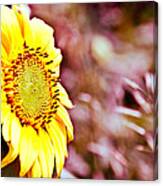 Greeting The Sun. Canvas Print