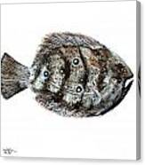Gulf Flounder Canvas Print