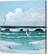 Gulf Shore Birds Canvas Print