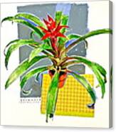 Guzmania Canvas Print