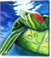 Happy Turtle Canvas Print