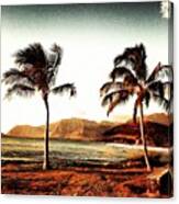 #hawaii #photography #maili #park Canvas Print