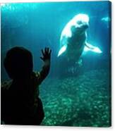 Hello Beluga Canvas Print