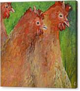 Hens And Chickens Canvas Print