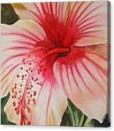 Hibiscus Again Canvas Print
