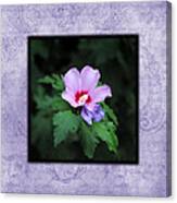 Hibiscus I Photo Square Canvas Print