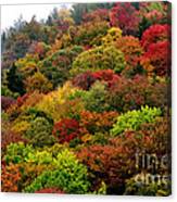Hillside Canvas Fall Color Canvas Print