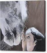 Horse Love Ii Canvas Print