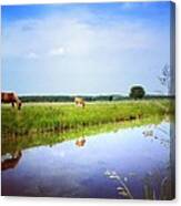 Horse'n Around In Holland Again Canvas Print