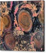 Hot Copper Canvas Print