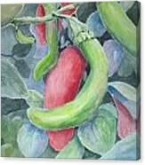 Hot Peppers Canvas Print