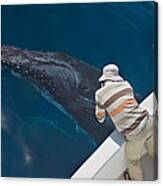 Humpback Whale Near Surface And Whale Canvas Print
