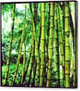 I Was Lovin' Up On The #bamboo Today Canvas Print