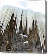 Ice Hang-over Canvas Print