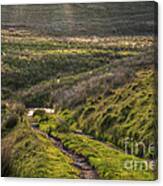 Icy Track Canvas Print