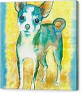 Ilio Chihuahua Canvas Print