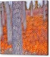 Impressionistic View Of Trees Canvas Print