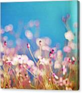 Infatuation In Blue Ii Canvas Print