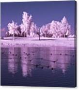 Infrared Photography. Taken With A Canvas Print