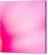 Inside Of Pink Flower Canvas Print