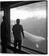 #instagram #photooftheday #whale #bw Canvas Print