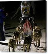 International Pedigree Stage Stop Sled Dog Race Jackson Hole Wy Canvas Print