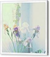 #iris #bouquet From Some Time Ago Canvas Print