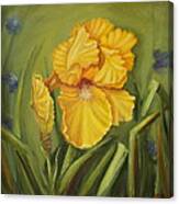 Iris Canvas Print