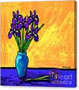 Iris On Yellow Canvas Print