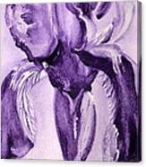 Iris Study In Purple Canvas Print