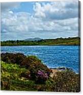 Irish Countryside Canvas Print