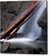 Jasper - Waterfall Logs Canvas Print