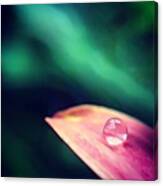 Just A Drop For The #macro_power_hour Canvas Print