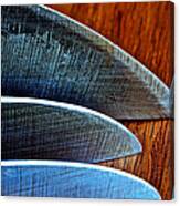 Knives Canvas Print