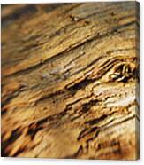 Knotty - Soft Focus 3 Canvas Print