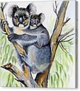 Koala And Baby Canvas Print