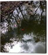 #koi #pond #reflection Canvas Print