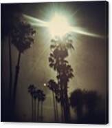 La Summer. #palms #trees #summer #sun Canvas Print