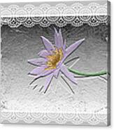 Lacy Lily Canvas Print