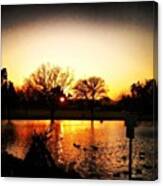 #lake #pond #water #park #sunset #duck Canvas Print