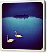 #lake #swan #sky #hill #hdr #iphone Canvas Print