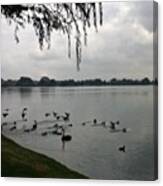 #lakemonger #lakes #westernaustralia Canvas Print