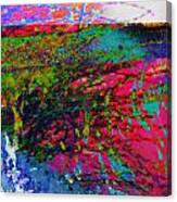 Landscape From Another World Canvas Print