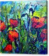 Languedoc Poppies Canvas Print