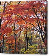 Late Autumn Canvas Print