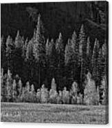 Layers Of Yosemite Canvas Print