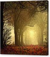 Leaf Path Canvas Print