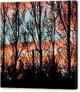 Leafless Trees Canvas Print