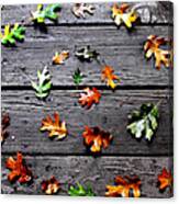 Leaves Canvas Print