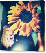 #leo The #lion #august #summer Canvas Print